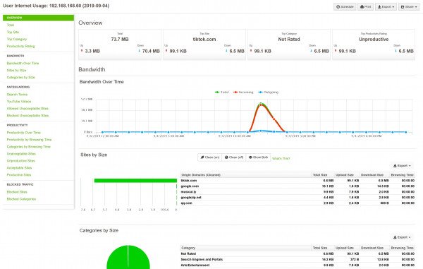 Fastvue Reporter For SonicWall User Overview Report